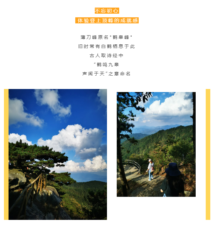 秋天了，來(lái)一場(chǎng)成年人的秋游吧(圖2)