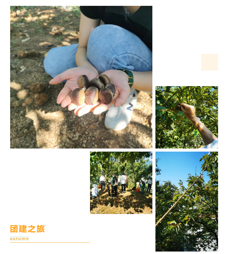 秋天了，來(lái)一場(chǎng)成年人的秋游吧(圖6)